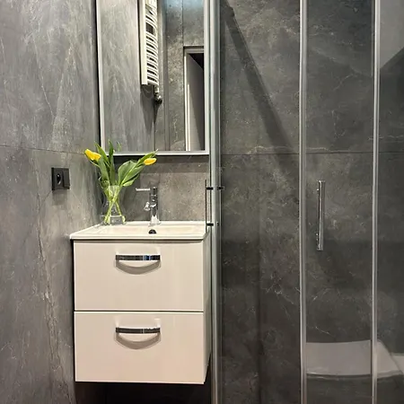 Mini Loft W Centrum Czestochowy *