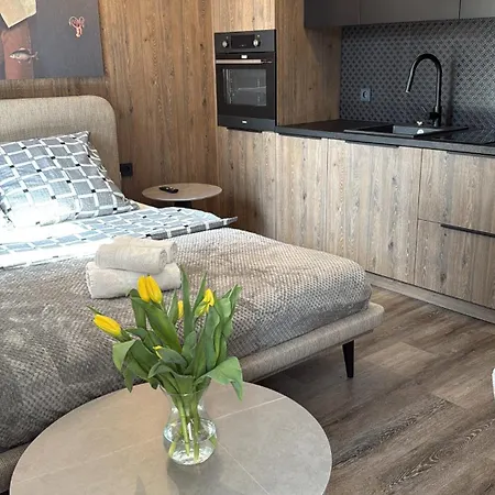 Mini Loft W Centrum Czestochowy Apartment *
