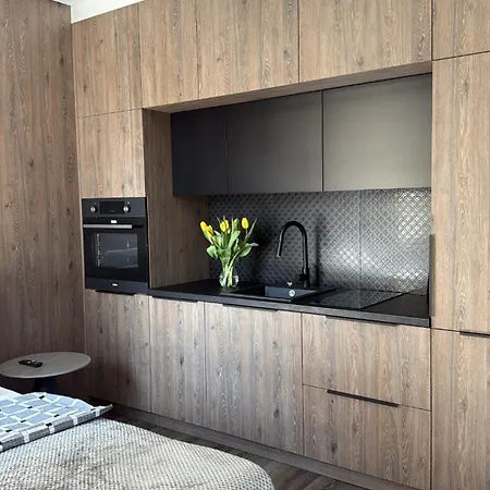 Mini Loft W Centrum Czestochowy Apartment Czestochowa