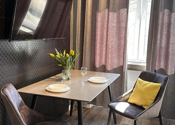 Mini Loft W Centrum Czestochowy צ'סטוצ'ובה